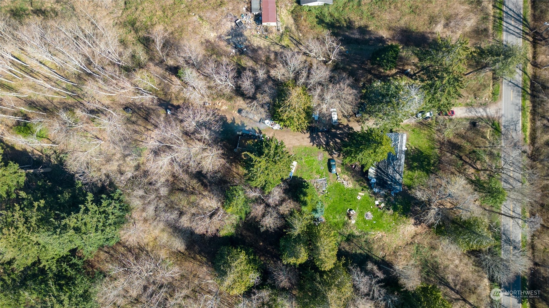 2646 Cagey Road Bellingham, WA 98226 - Photo 4 of 25 a picture of trees