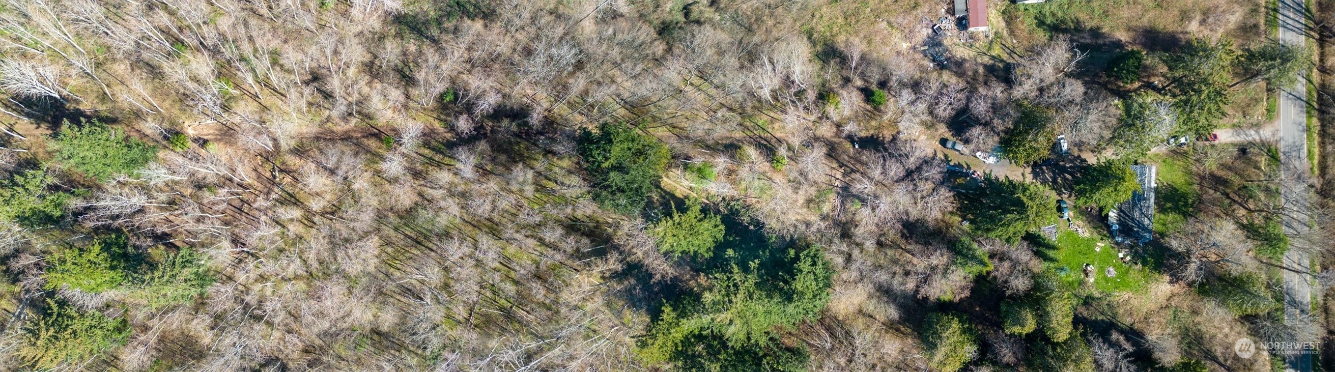 2646 Cagey Road Bellingham, WA 98226 - Photo 5 of 25 a view of a plant