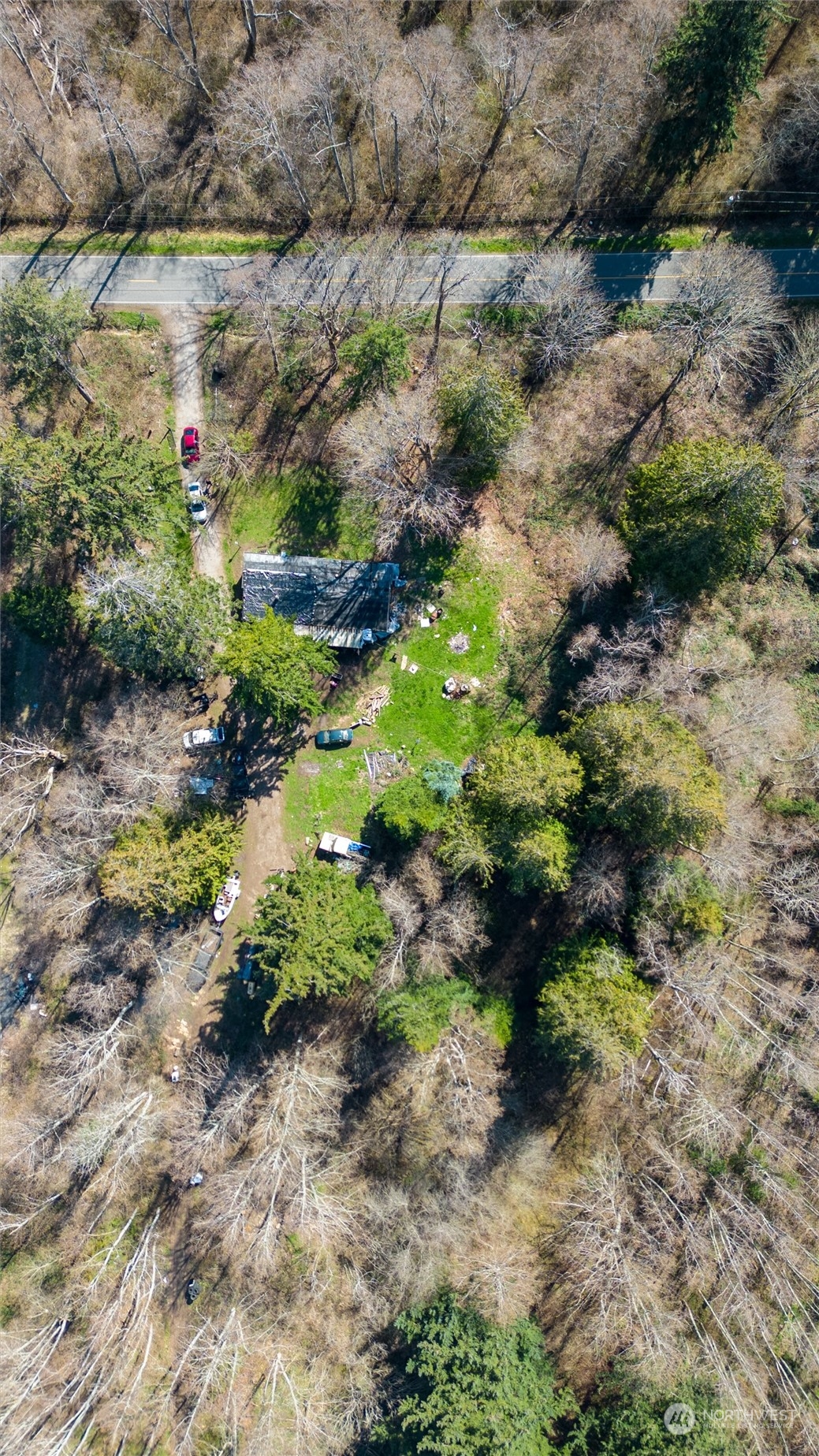 2646 Cagey Road Bellingham, WA 98226 - Photo 7 of 25 a view of a garden with plants
