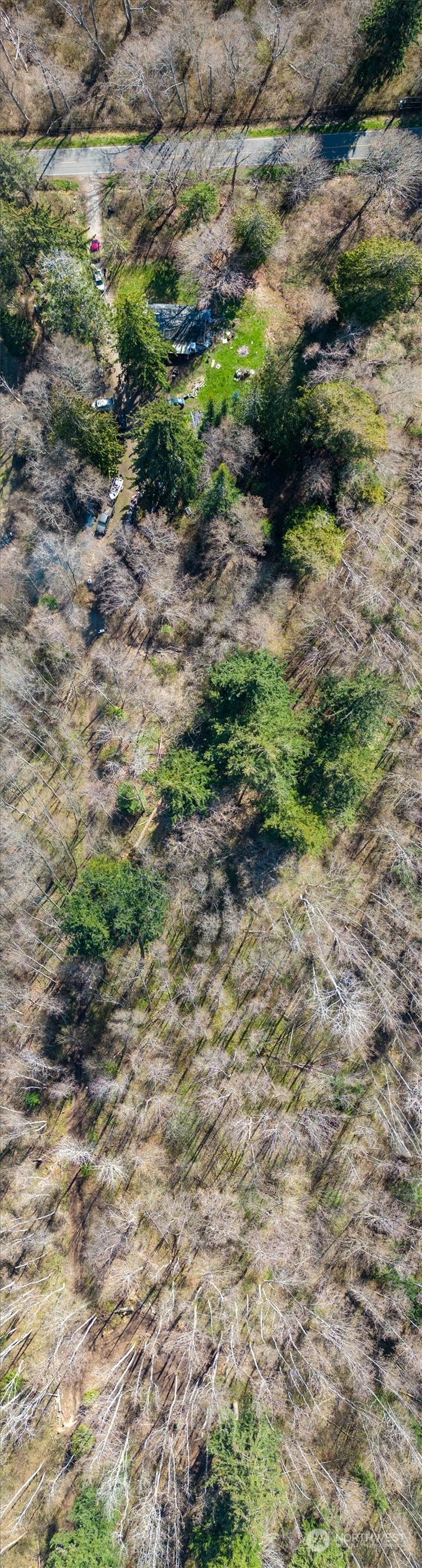 2646 Cagey Road Bellingham, WA 98226 - Photo 8 of 25 a view of a yard with a tree