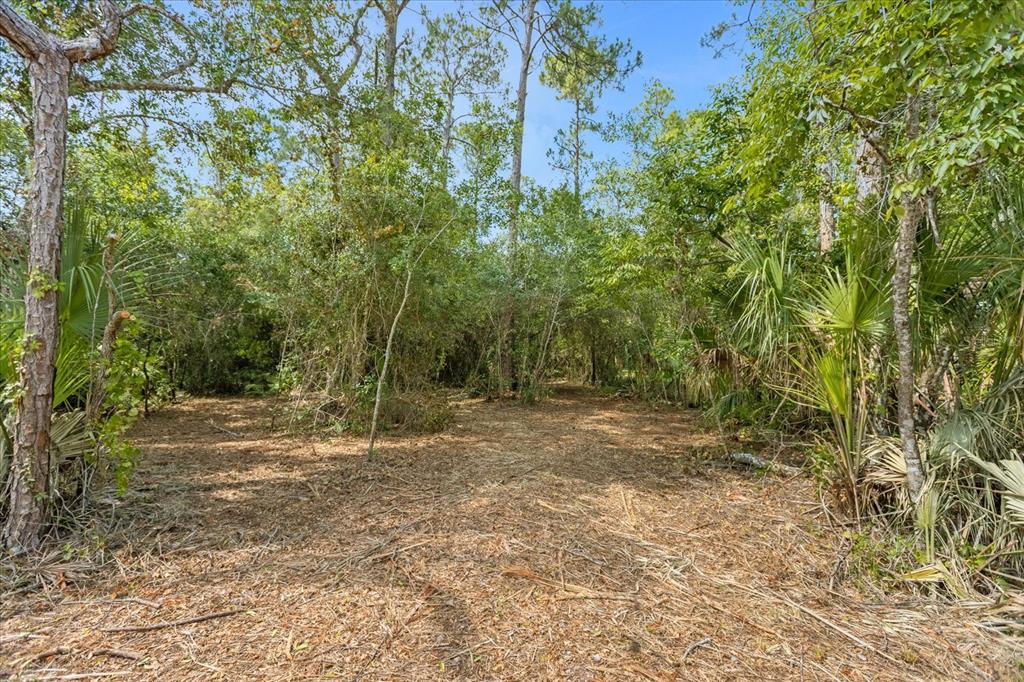 Mar Lisa Cove Road Lake Wales, FL 33898 - Photo 2 of 20