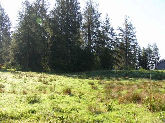 Tl#605 Latimer Road North Tillamook, OR 97141 - Photo 5 of 28 P5021235
