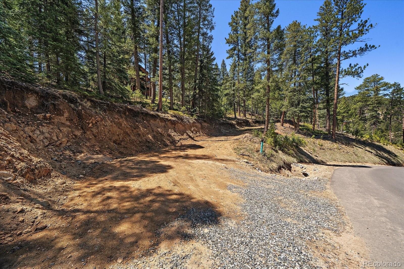 6855 Lynx Lair Road Evergreen, CO 80439 - Photo 9 of 21 a view of a yard with trees