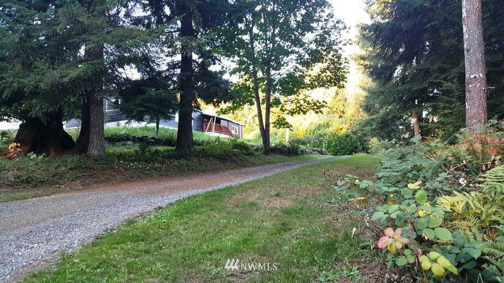 211 Riffe Hill Road Morton, WA 98356 - Photo 5 of 14 Gallery Image 5