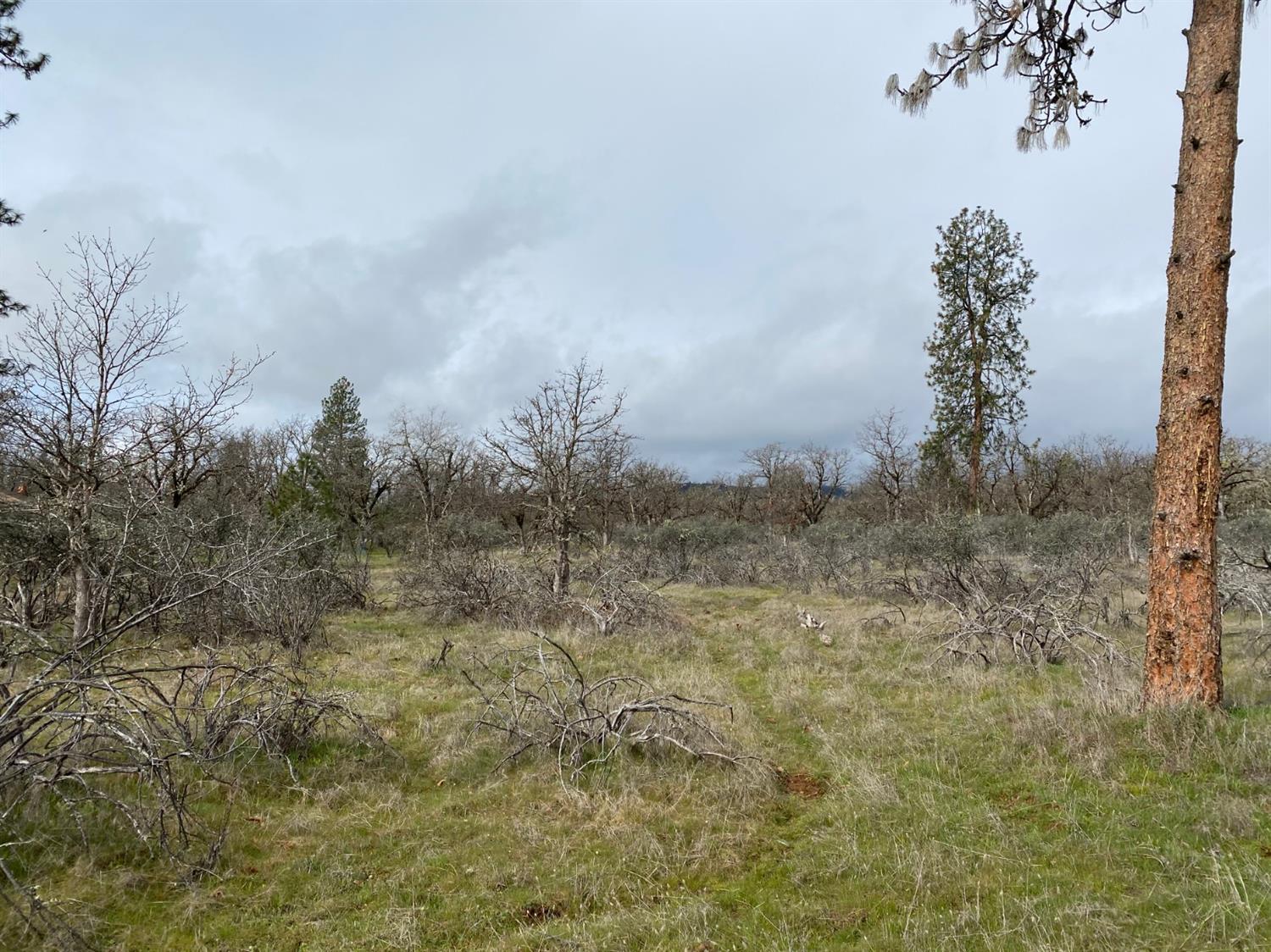15619 Jones Road White City, OR 97503 - Photo 3 of 5 Additional Photo