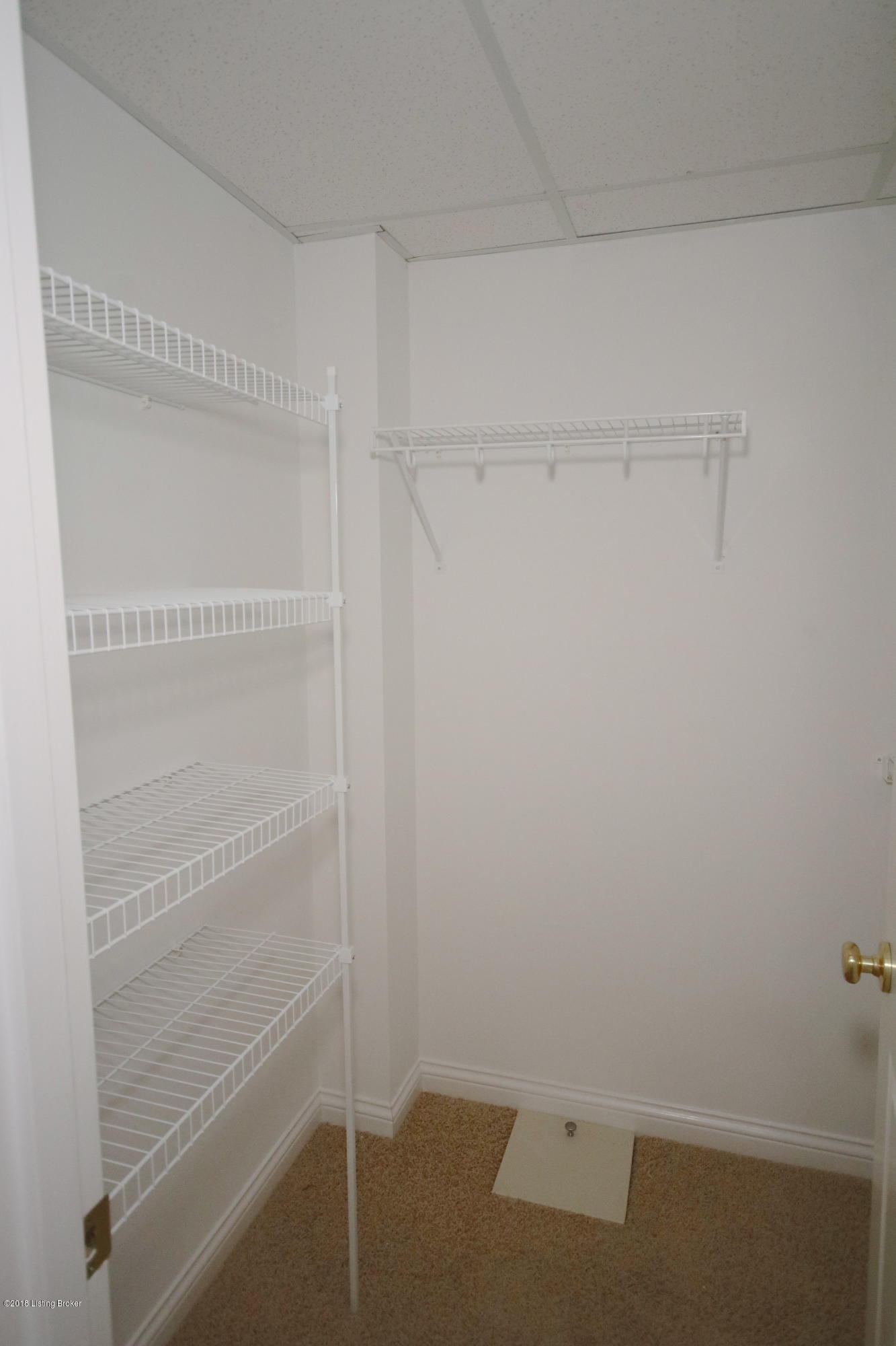 13402 Creekview Road Prospect, KY 40059 - Photo 42 of 50 Basement Bedroom Walk in closet
