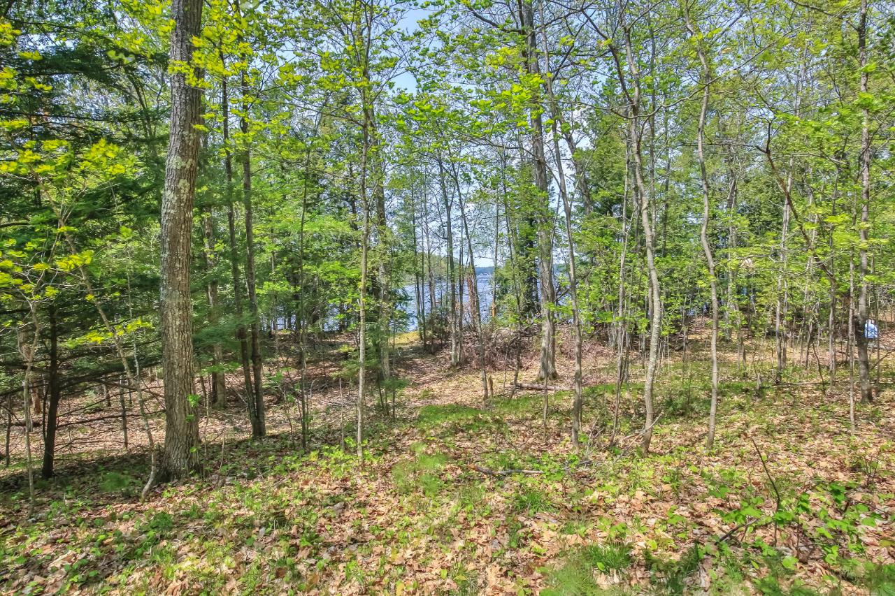On Squirrel Lake Road, Unit LOT #3 Minocqua, WI 54548 - Photo 10 of 17 Gallery Image 10