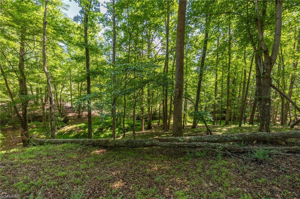 7289 Plunkett Road Stokesdale, NC 27357 - Photo 15 of 27