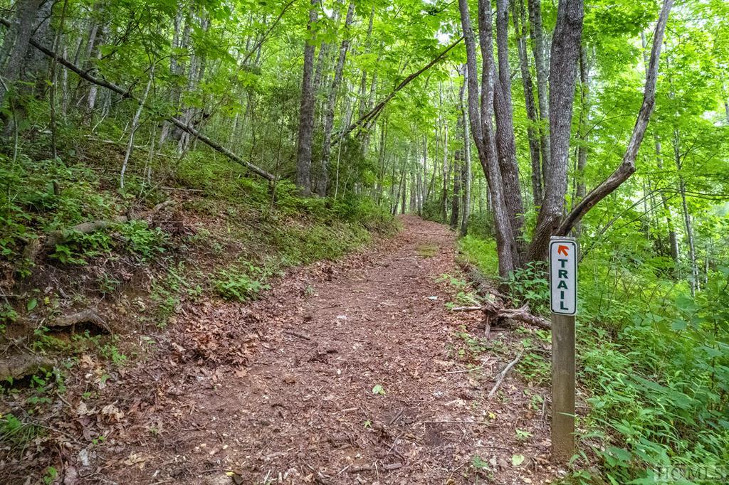 992 Found Forest Road Cashiers, NC 28717 - Photo 38 of 39 Gallery Image 38