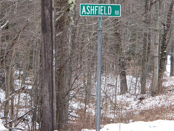 Lot 11 Ashfield Road Hawley, MA 01339 - Photo 16 of 17 Gallery Image 16