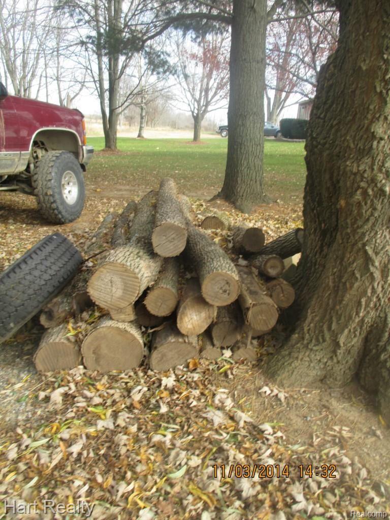 5363 Cotter Road Marlette, MI 48453 - Photo 6 of 21 IMG_9144.jpg