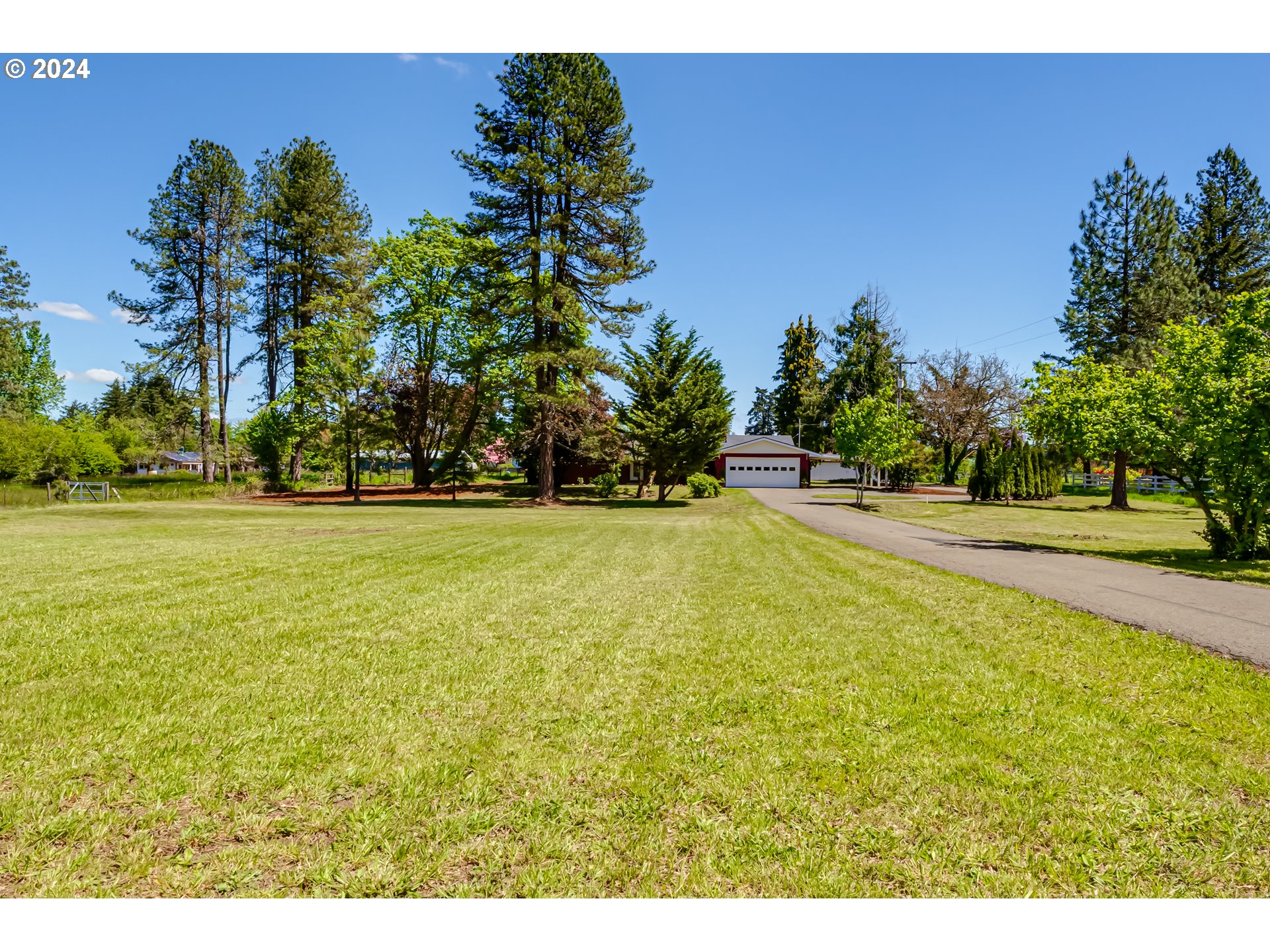 90767 Alvadore Road Junction City, OR 97448 - Photo 3 of 35 Driveway