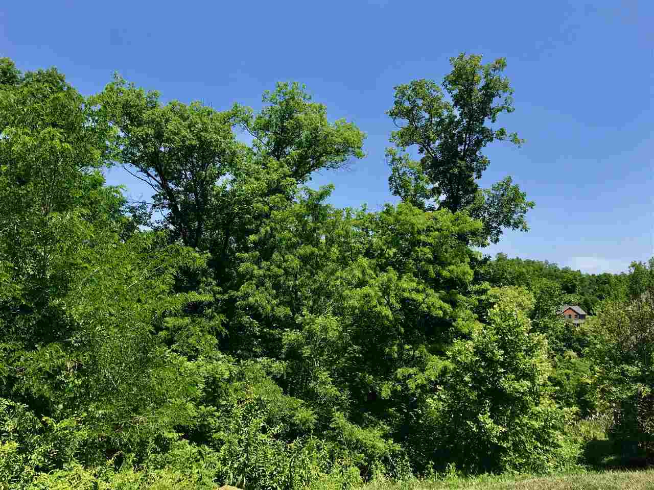 564 Deer Run Road Newport, KY 41076 - Photo 2 of 12 Gallery Image 2