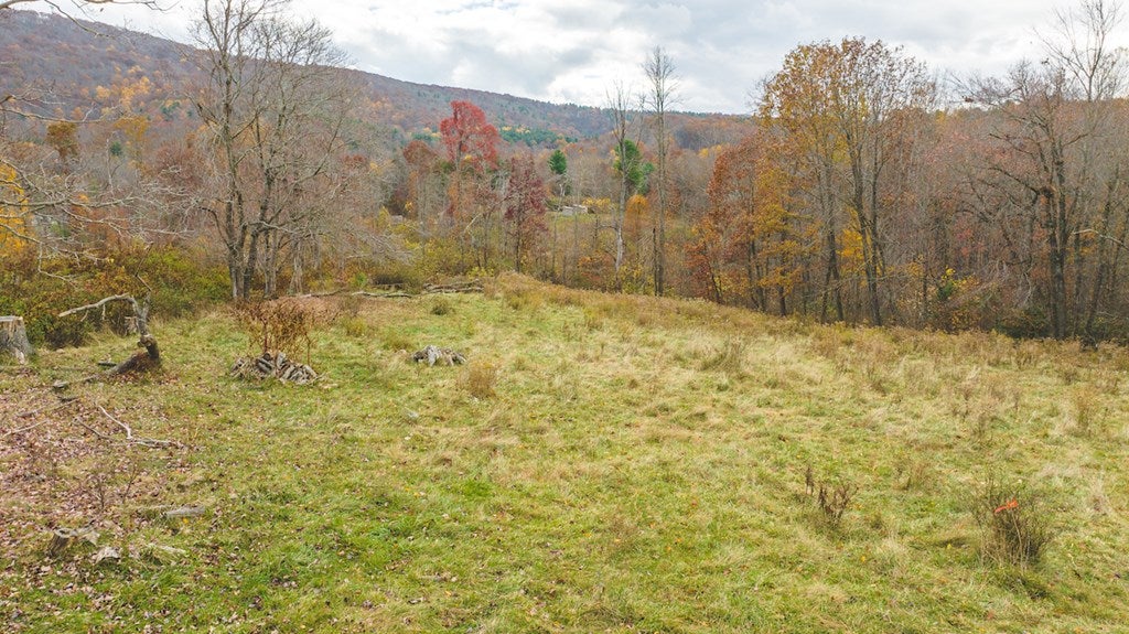 Lot 1 Ridgeview Road Northwest Floyd, VA 24091 - Photo 8 of 29 Gallery Image 8