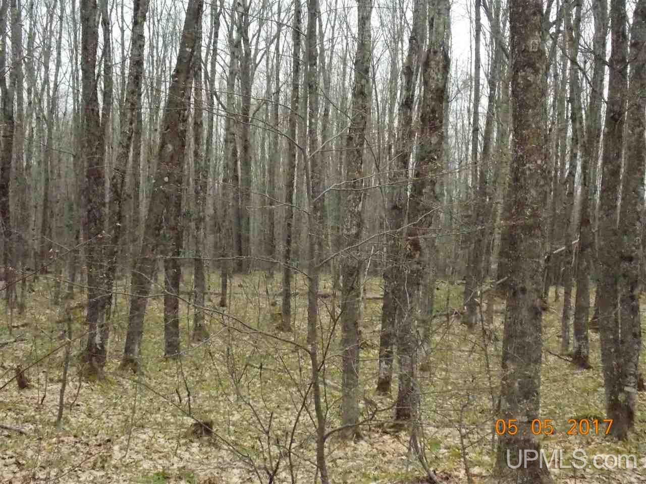 26717 Knurick Road Watton, MI 49970 - Photo 8 of 18