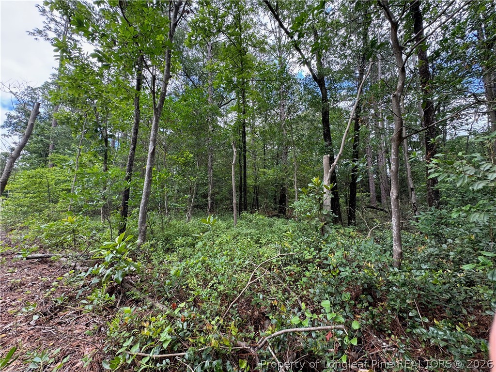 Tbd Myra Road Raeford, NC 28376 - Photo 21 of 23