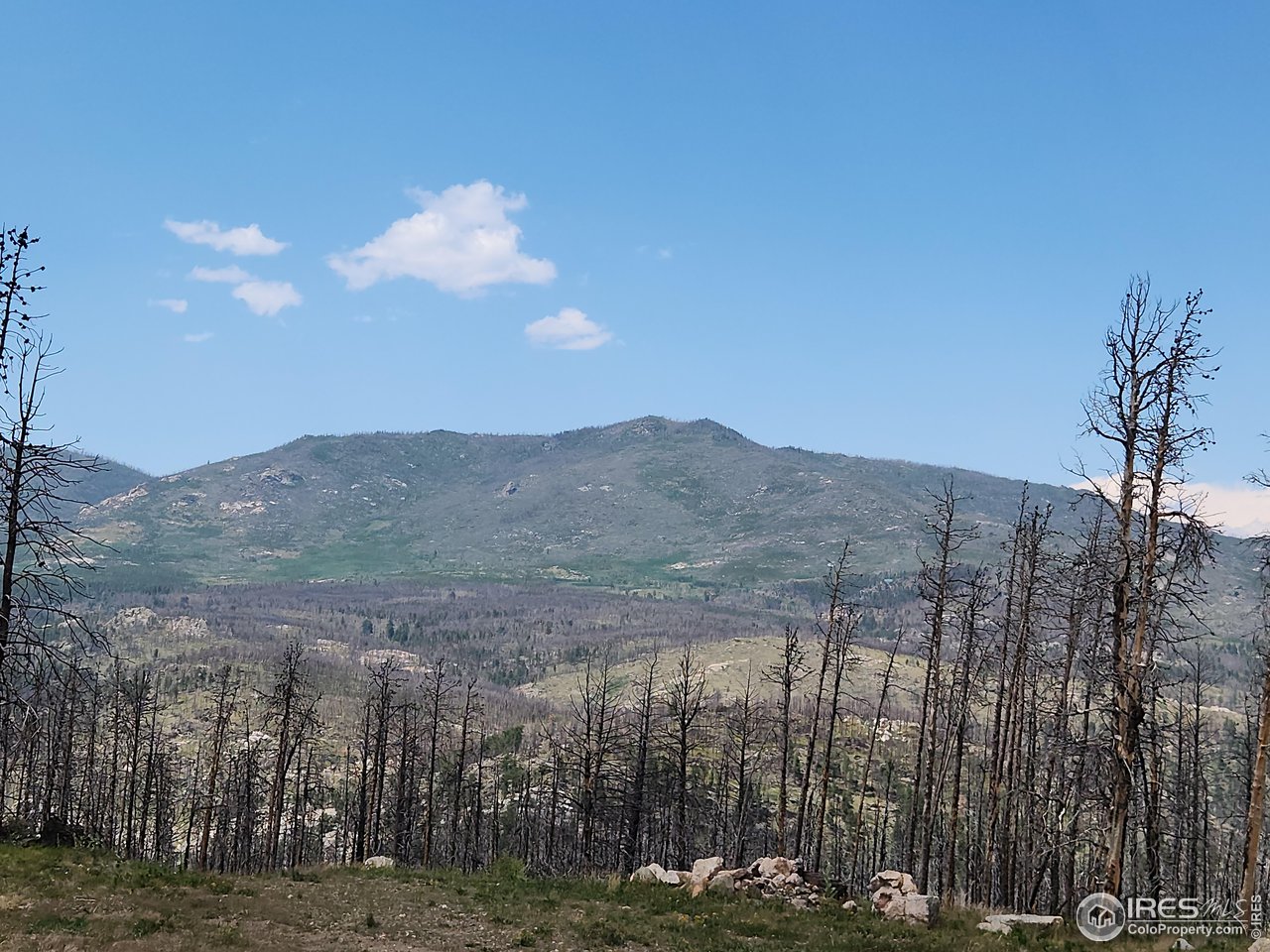 963 Crystal Mountain Road Bellvue, CO 80512 - Photo 25 of 27 View from the road