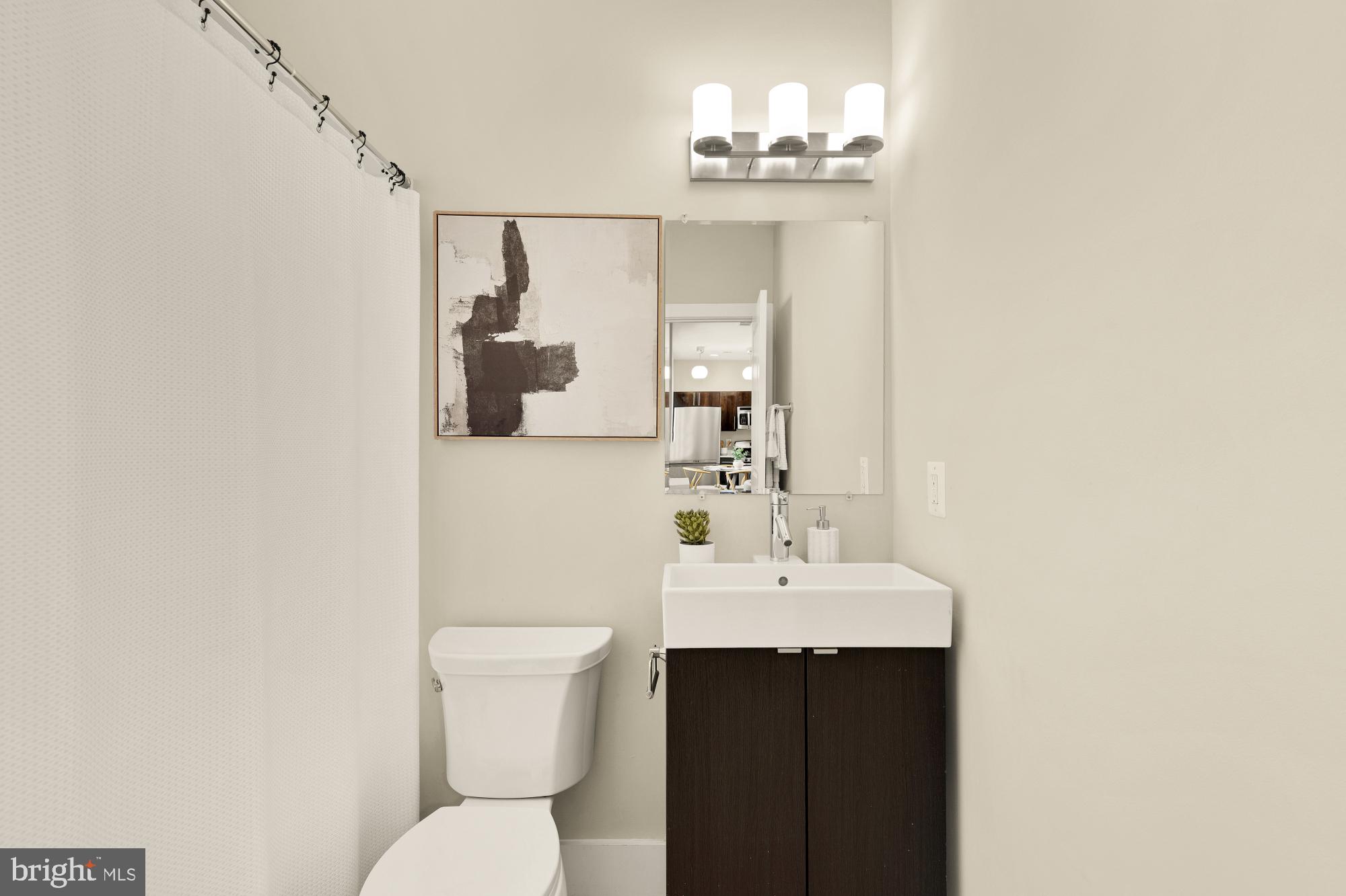 315 G Street Northeast, Unit 303 Washington, DC 20002 - Photo 12 of 16 a bathroom with a sink a toilet and mirror