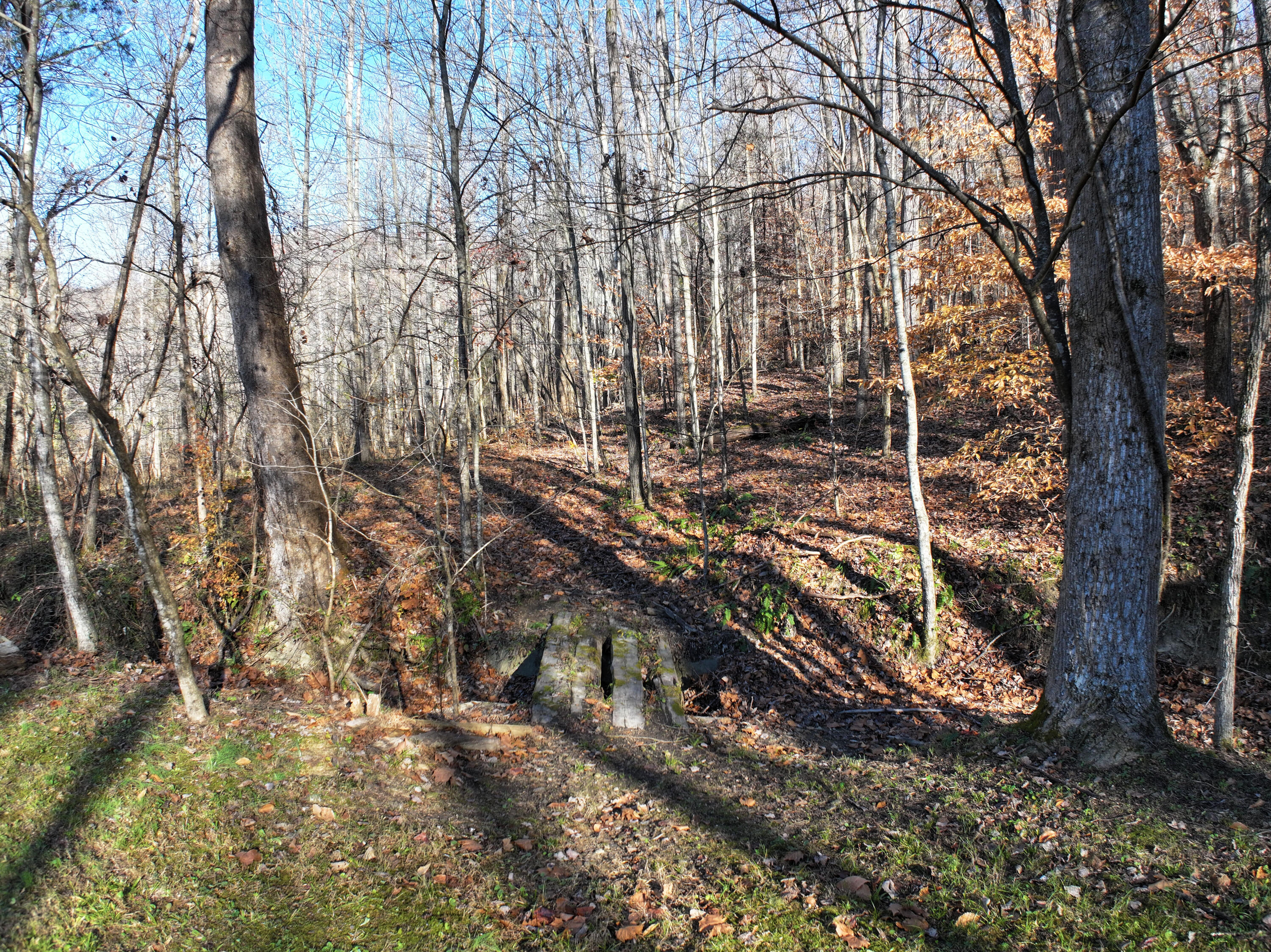 820 Sweet Lick Road Ravenna, KY 40472 - Photo 71 of 73 Nothing beats taking the dogs for a hike!