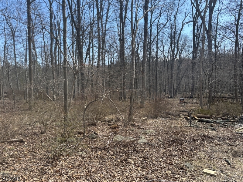 25 Red Mill Road Glen Gardner, NJ 08826 - Photo 6 of 9 a view of a backyard