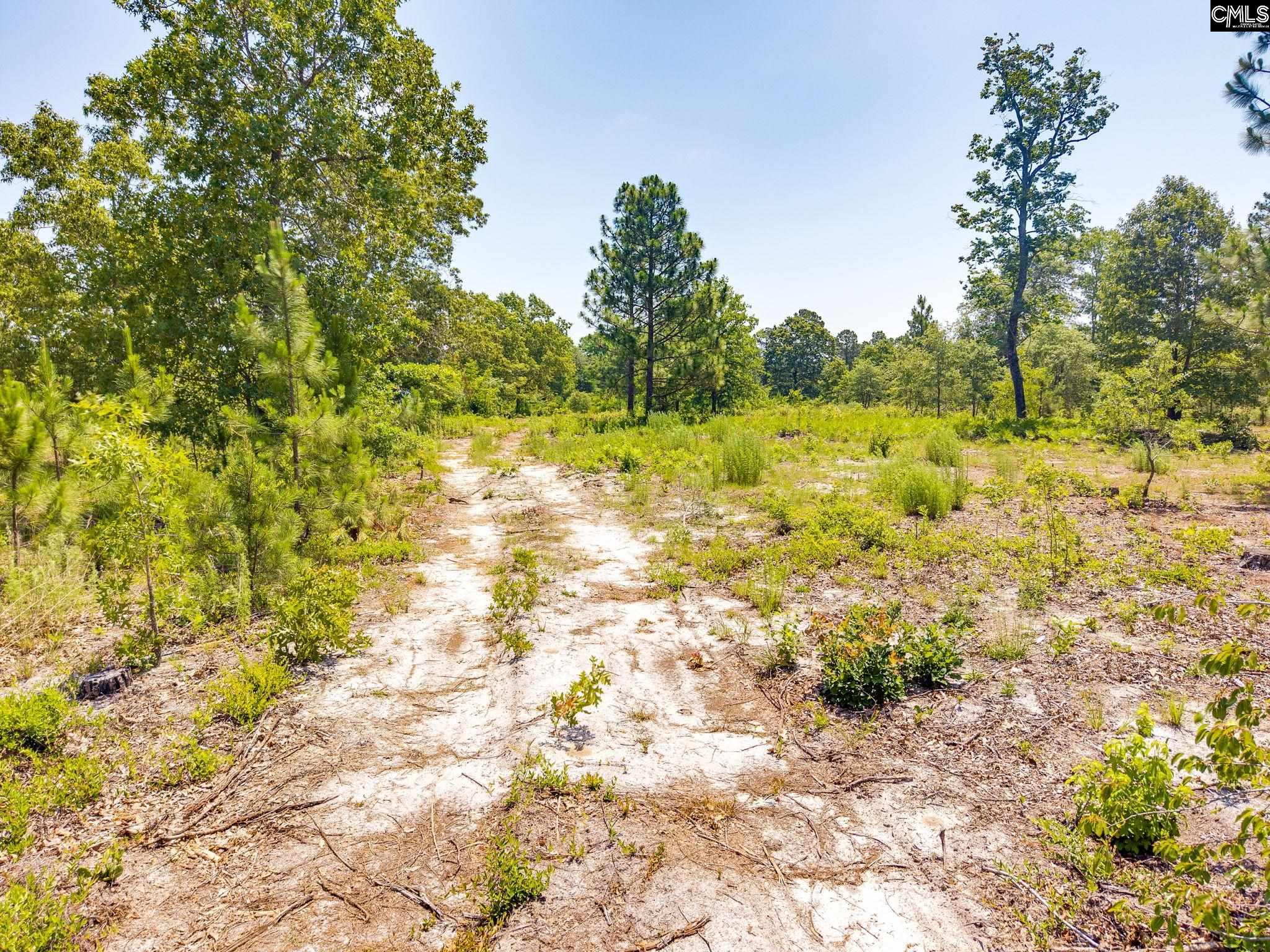 443 Hound Holw Road Camden, SC 29020 - Photo 10 of 12