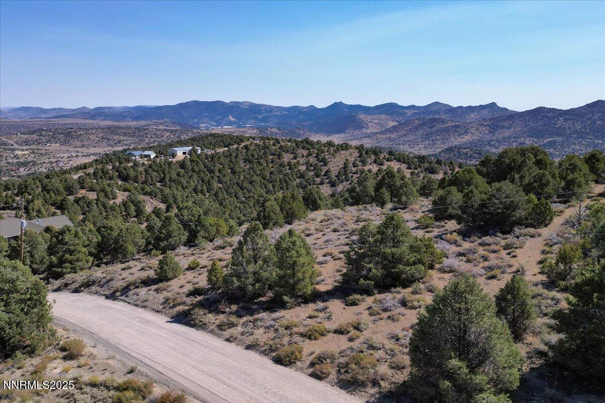 4760 Livery Road Reno, NV 89521 - Photo 1 of 41 a view of a forest with mountains in the background
