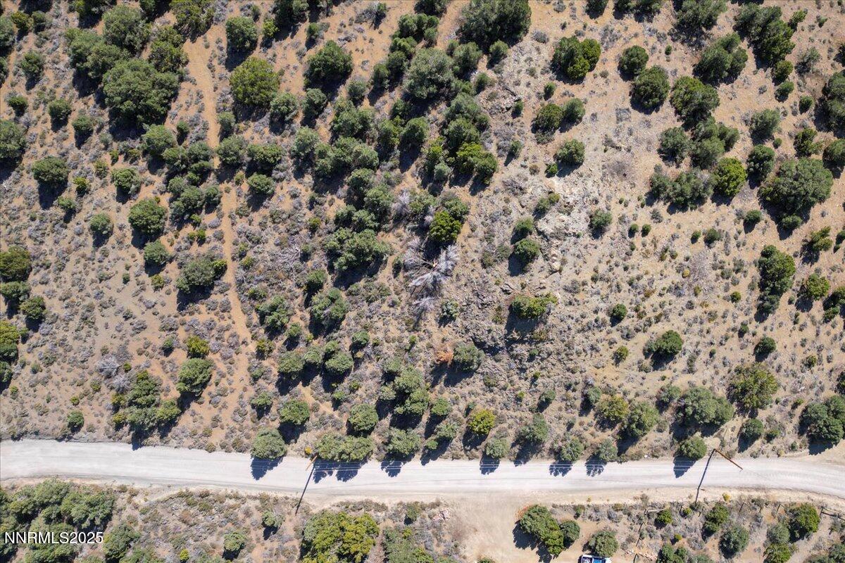 4760 Livery Road Reno, NV 89521 - Photo 24 of 41 a view of a tree with a yard