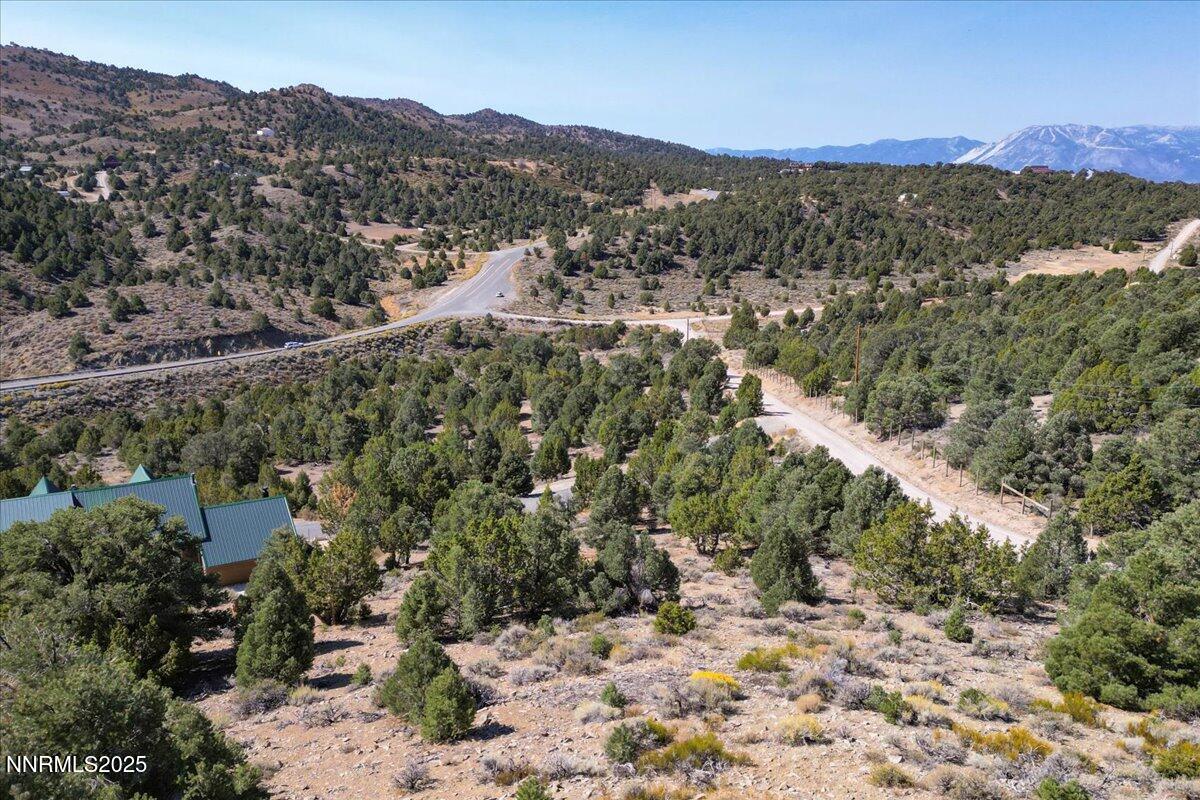 4760 Livery Road Reno, NV 89521 - Photo 27 of 41 a view of a forest with mountains in the background