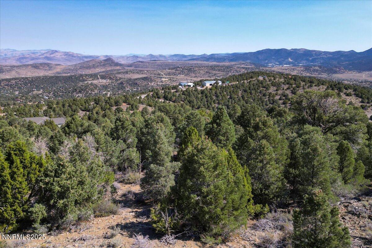 4760 Livery Road Reno, NV 89521 - Photo 30 of 41 a view of a forest with mountains in the background