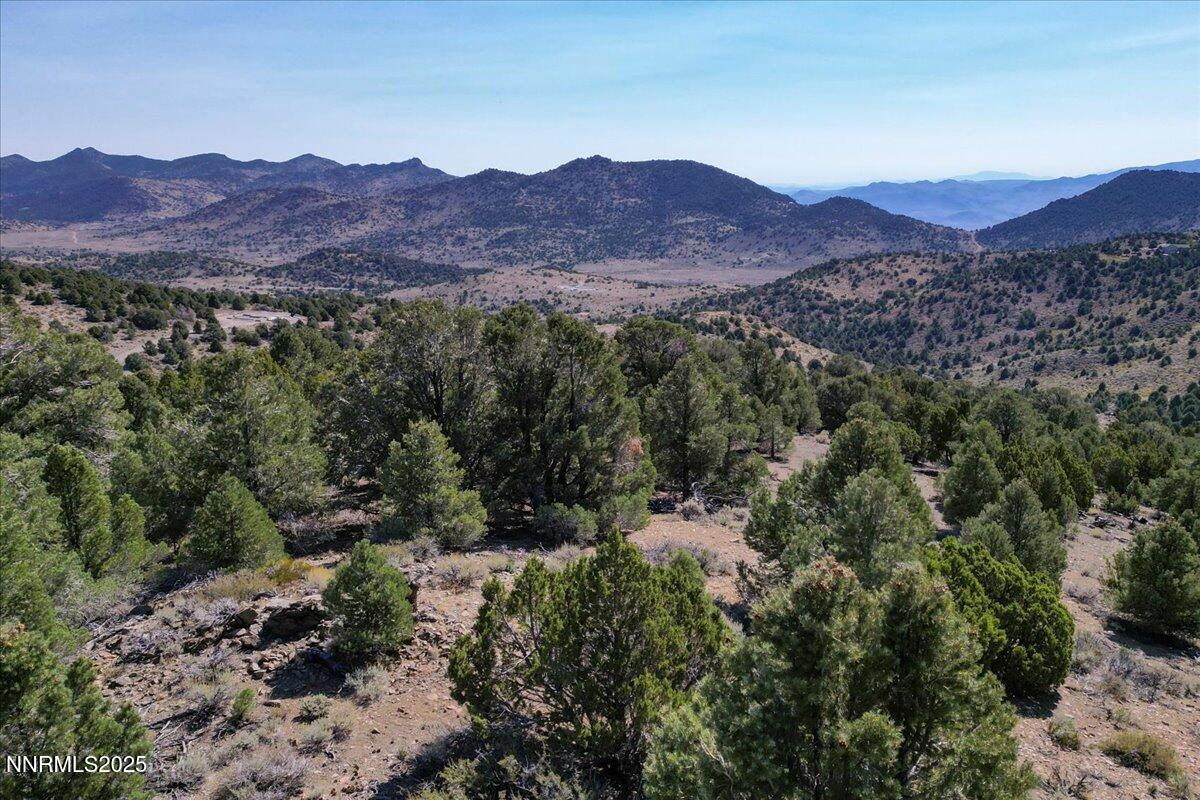 4760 Livery Road Reno, NV 89521 - Photo 31 of 41 a view of a lush green hillside and a houses