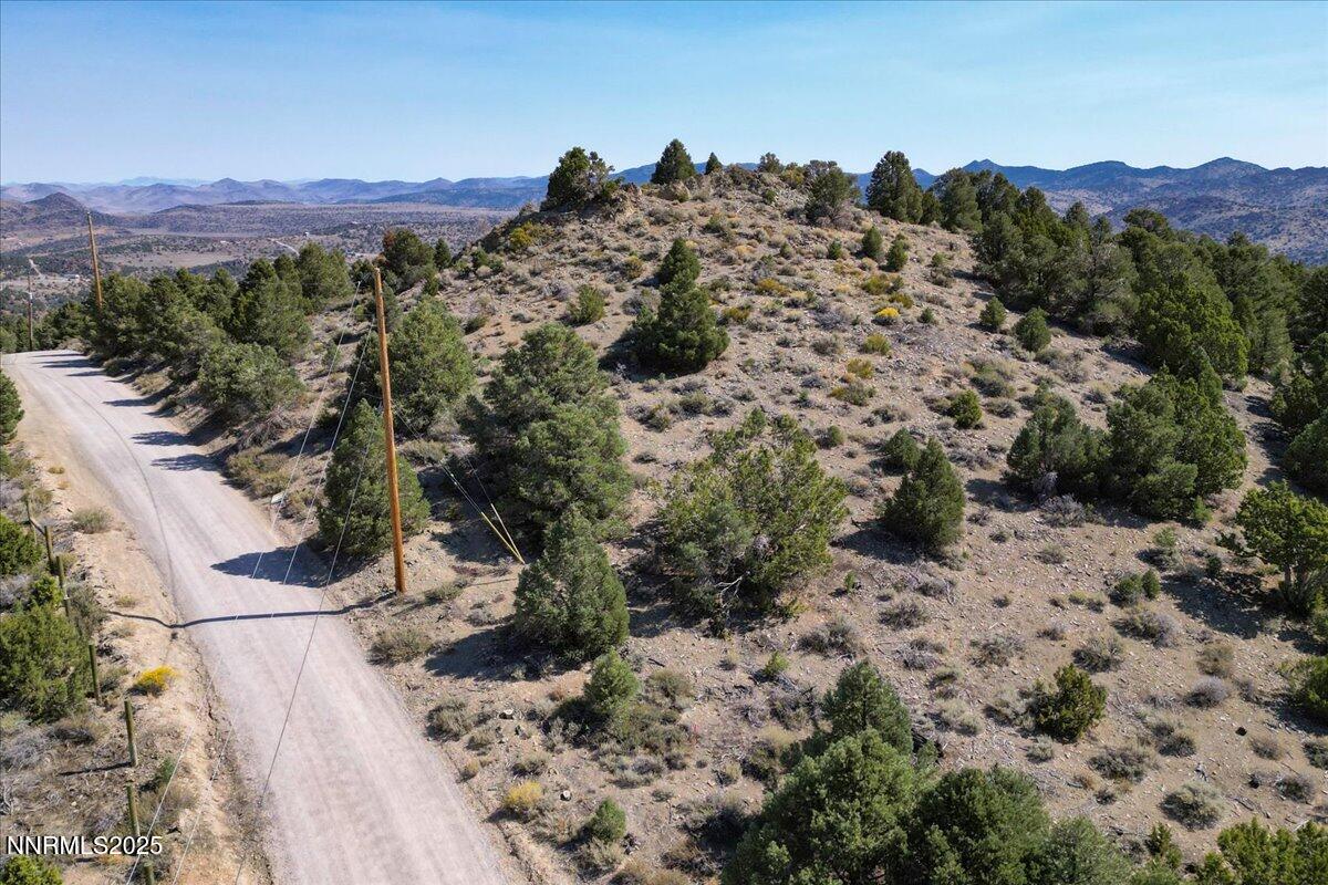 4760 Livery Road Reno, NV 89521 - Photo 32 of 41 a view of a forest with a mountain