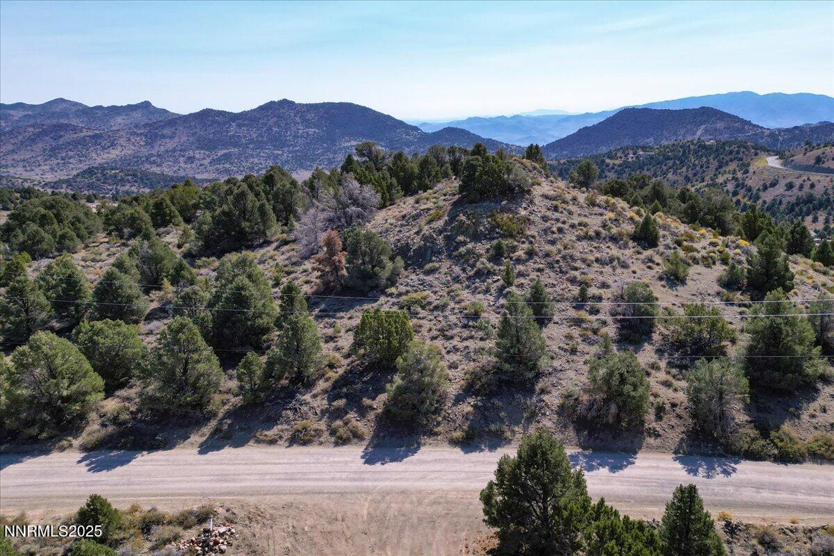 4760 Livery Road Reno, NV 89521 - Photo 34 of 41 a view of a lush green hillside and a houses