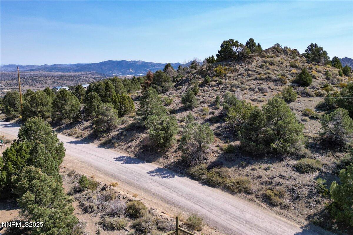 4760 Livery Road Reno, NV 89521 - Photo 38 of 41 a view of a forest with mountains in the background