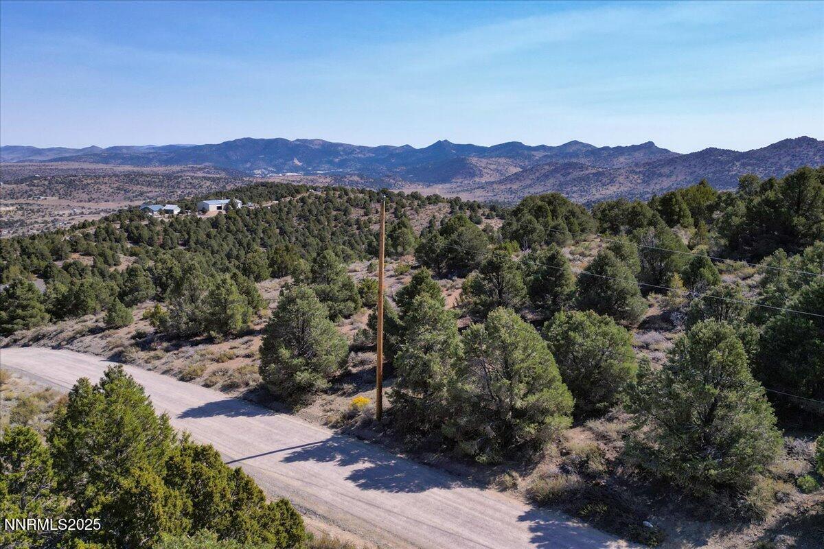 4760 Livery Road Reno, NV 89521 - Photo 40 of 41 a view of a lush green hillside and a houses