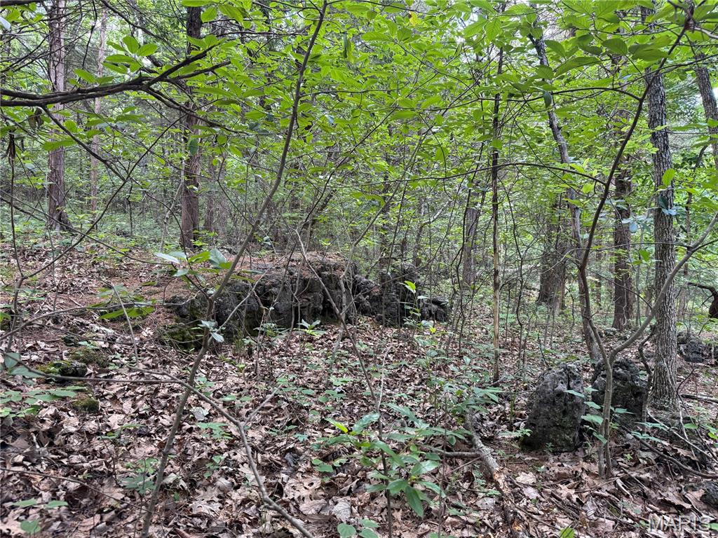 0 Old St Louis Road French Village, MO 63036 - Photo 17 of 30