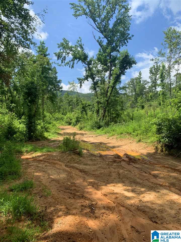 0 Bell Road, Unit 1 Anniston, AL 36201 - Photo 2 of 3