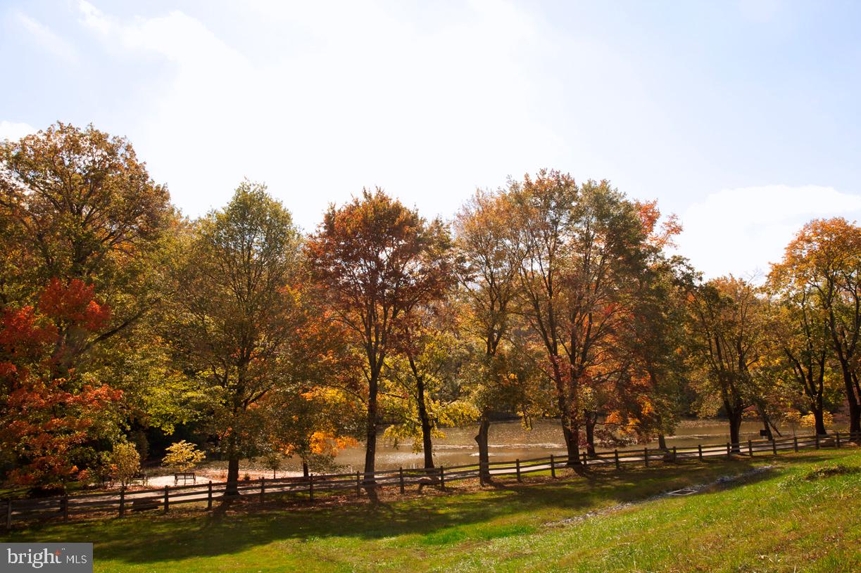 3905 Dutton Farm Road Newtown Square, PA 19073 - Photo 51 of 52 Pond