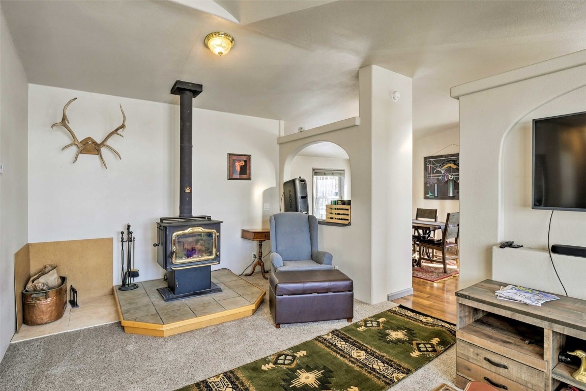 443 Vine Road Fairplay, CO 80440 - Photo 11 of 34 Gallery Image 11