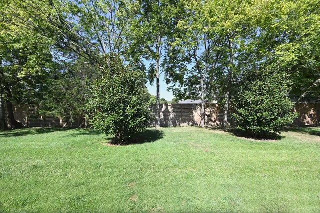 a view of a backyard with large trees