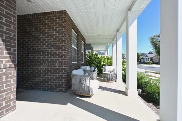 a view of potted plant in front of door