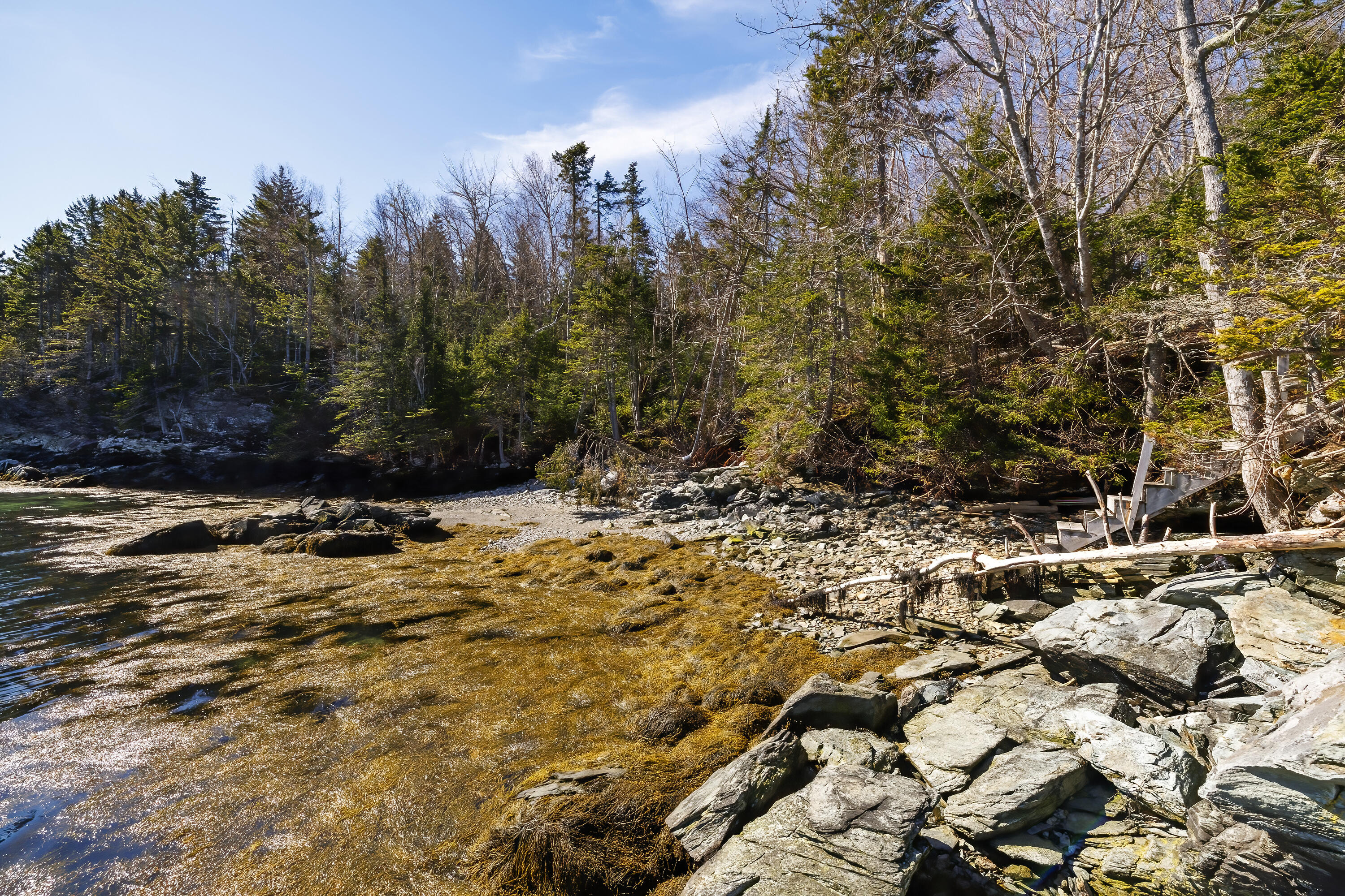 465 Eggemoggin Road Little Deer Isle, ME 04650 - Photo 52 of 67 77- 465 Eggemoggin Road HiRes-DTP (1)