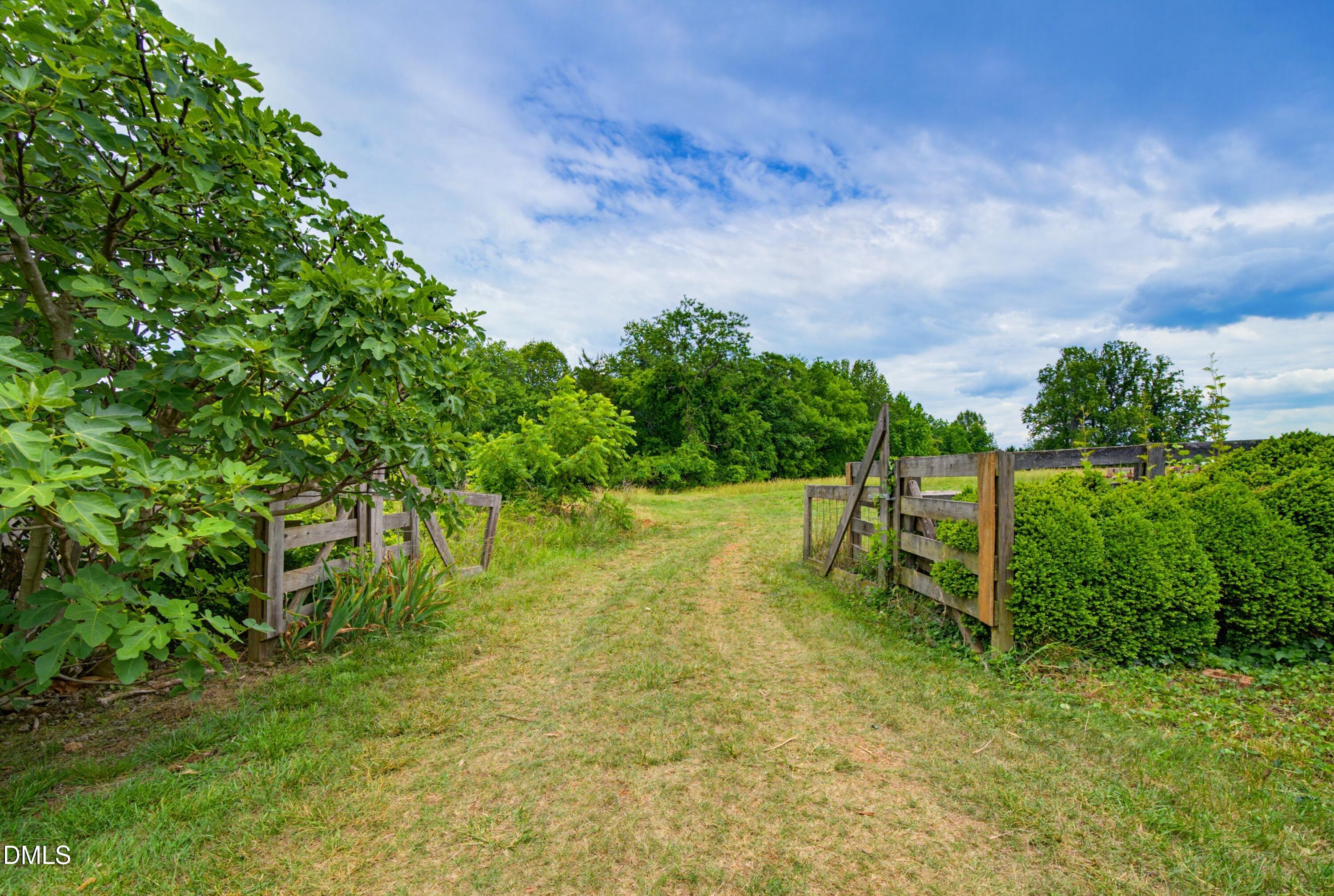 4319 Surl Mount Tirzah Road Timberlake, NC 27583 - Photo 60 of 78