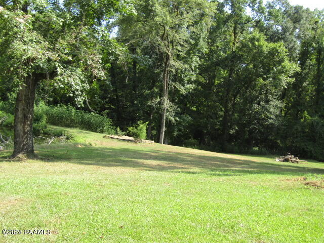 1476 Prayer House Road Opelousas, LA 70570 - Photo 3 of 12 IMG_6989