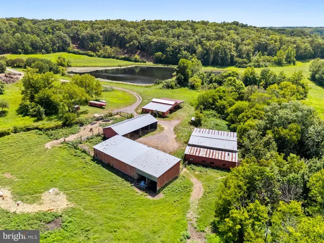 a view of a swimming pool with a yard