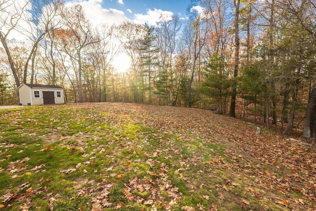 162 Ewald Avenue Marlborough, MA 01752 - Photo 29 of 30 a view of a yard with trees