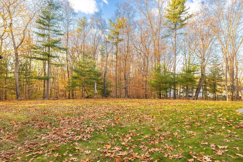 162 Ewald Avenue Marlborough, MA 01752 - Photo 30 of 30 a view of large trees with yard in front of it