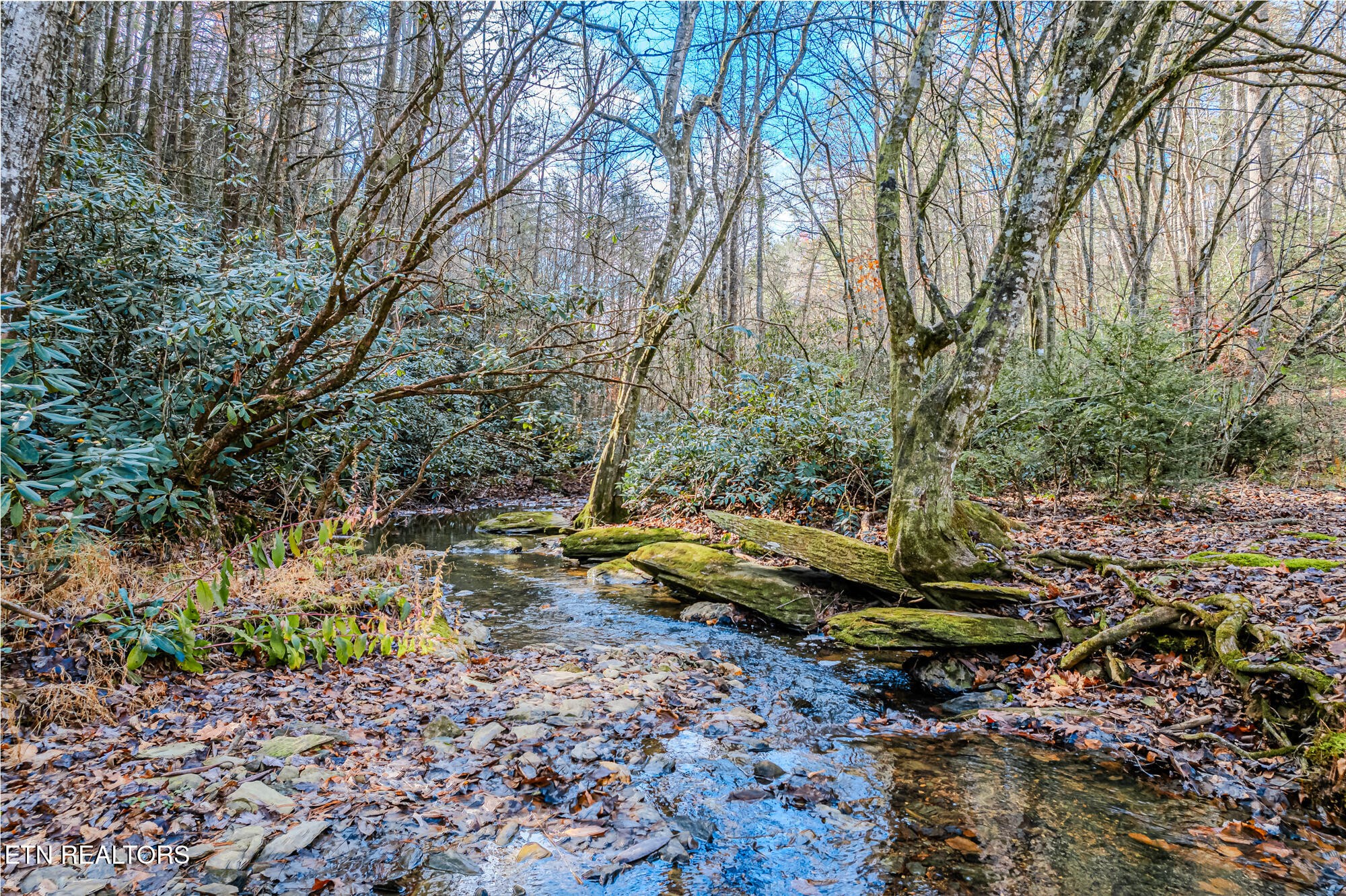 0 Pond Ridge Road Tellico Plains, TN 37385 - Photo 25 of 32