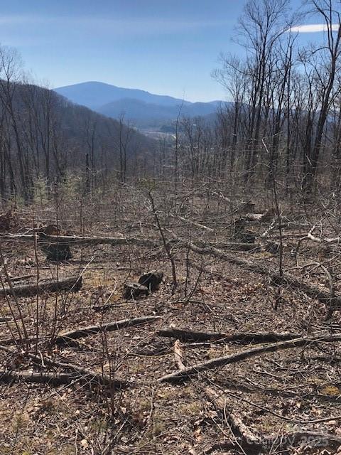 0 Butler Ridge, Unit 27 Hendersonville, NC 28792 - Photo 3 of 5 a view of a yard with a fence
