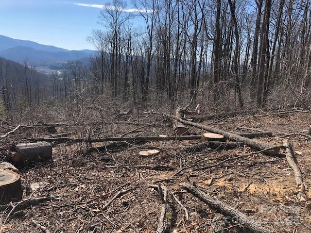 0 Butler Ridge, Unit 27 Hendersonville, NC 28792 - Photo 4 of 5 a view of a backyard with large trees