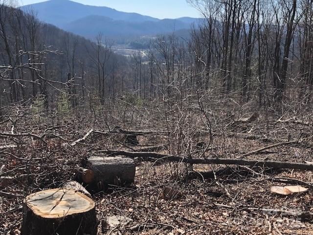 0 Butler Ridge, Unit 27 Hendersonville, NC 28792 - Photo 5 of 5 a view of a outdoor space